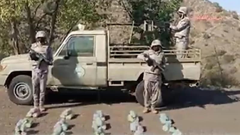 إحباط محاولات تهريب (35) طنًا و(176) كيلو جرامًا من نبات القات المخدر و (483.3) من الحشيش