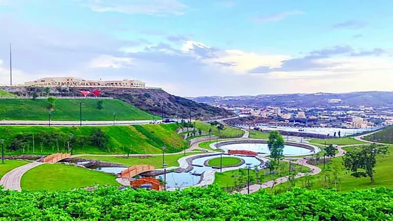 مواطن يعفو عن داهس ابنته في الباحة 