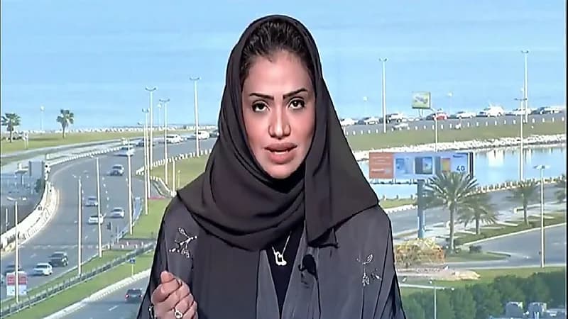 استشارية: استمرار وضع جل وبخاخ تثبيت الشعر يسبب أضرارا للشعر "فيديو"