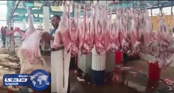 ذبح 4 آلاف رأس من الماشية بمسلخ أبها
