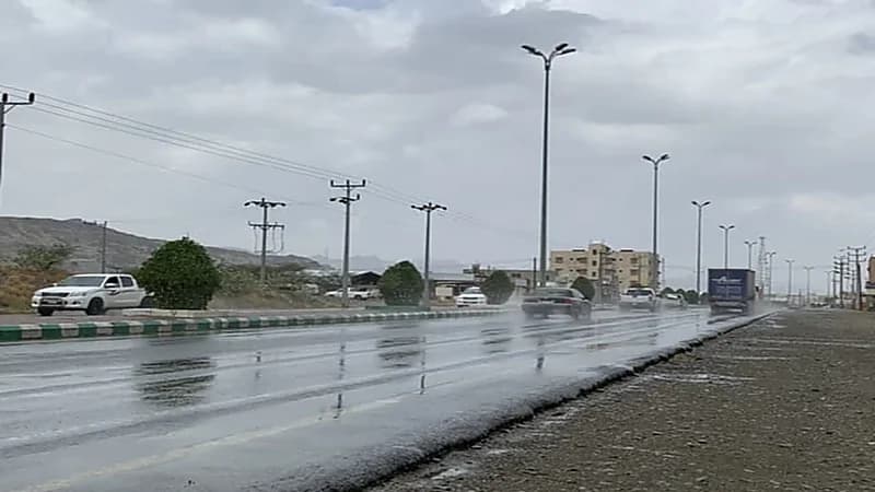 "الحصيني": استمرار حالة حائل الممطرة خلال 24 الساعة القادمة