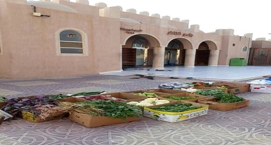 بالصور.. أمانة الشرقية تشن حملة رقابية لمنع البيع الجائل بالجبيل