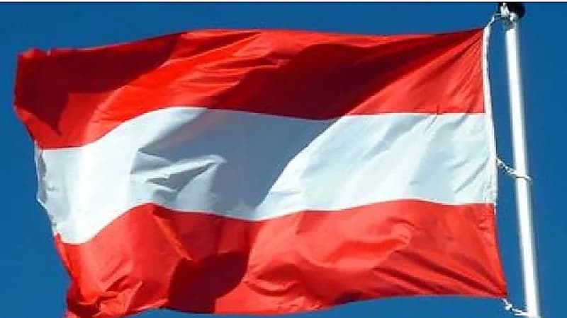 النمسا تضع حزب الله على قائمة الإرهاب بذراعيه