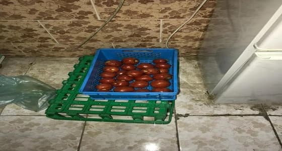 أمانة عسير ترصد 74 مخالفة خلال الأسبوع الماضي