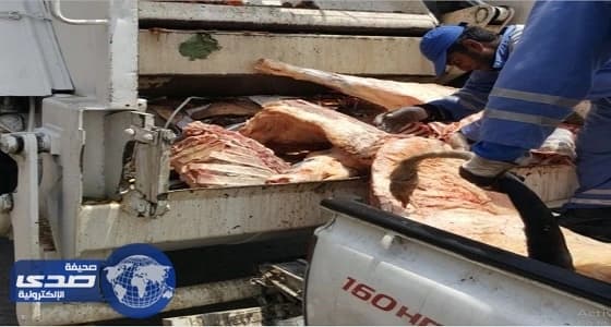 بالصور.. ضبط 300 كجم من اللحوم الفاسدة بالدمام