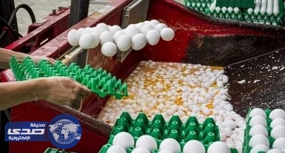 المفوضية الأوروبية تدعو إلى اجتماع وزاري بشأن أزمة البيض الملوث