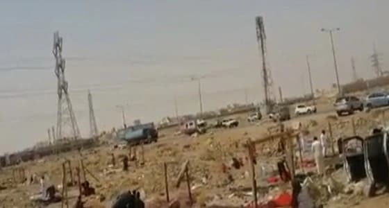 بالفيديو.. مقاصب تذبح الأغنام في أماكن متسخة وبدون شهادات صحية