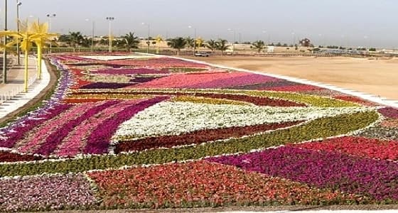 استتعدادات " ينبع " لإنطلاق مهرجان الزهور الـ12