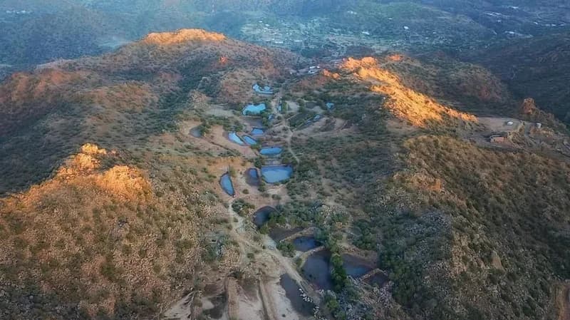 الطائف تتحول إلى مدينة ساحرة بعد موسم الأمطار الأخير