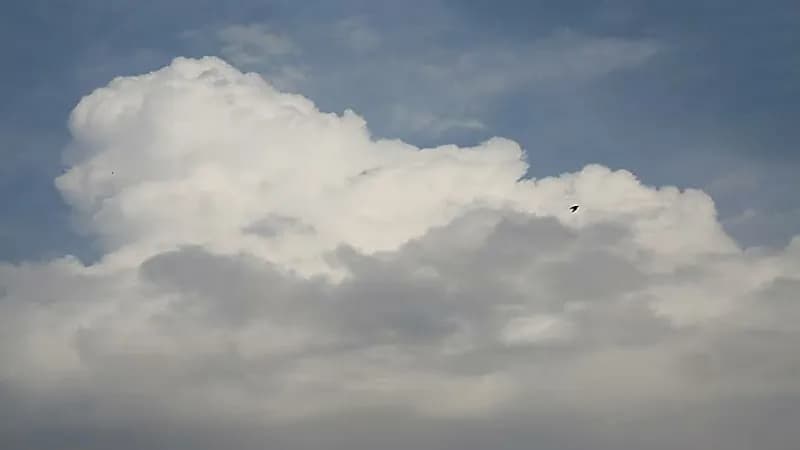 الجهني يكشف عن توقعاته بشأن موسم المراويح