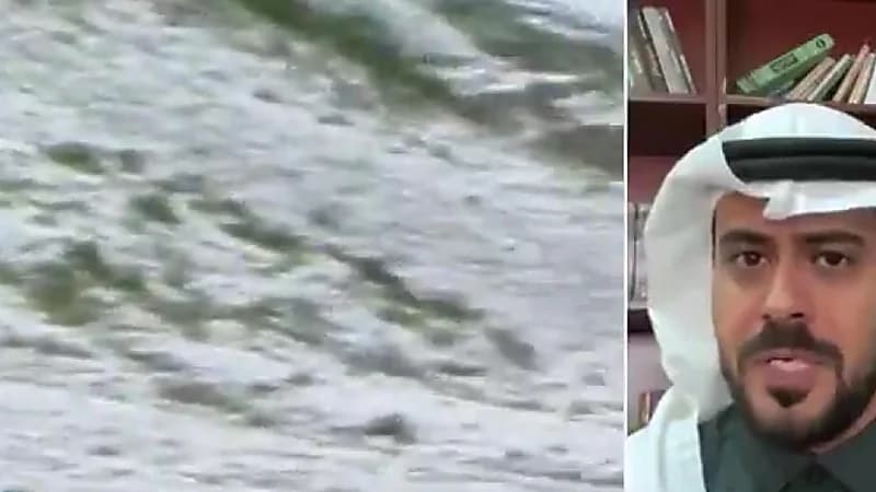 باحث تاريخي : تساقط الثلوج في تبوك ظاهرة قديمة تكبدت بخسائر مادية وبشرية ..فيديو