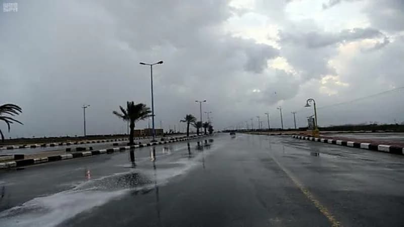 المسند: استقرار جوي عام في معظم المناطق