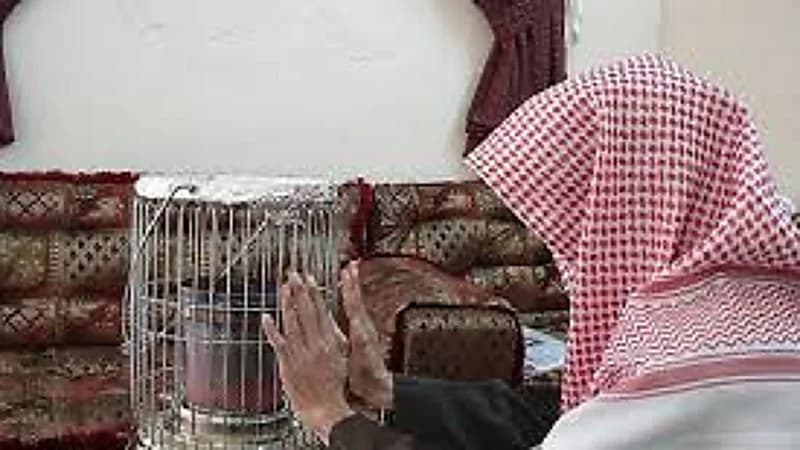 الدفاع المدني يُحذّر من التھاون في اتباع إرشادات السلامة نتيجة موجة البرد