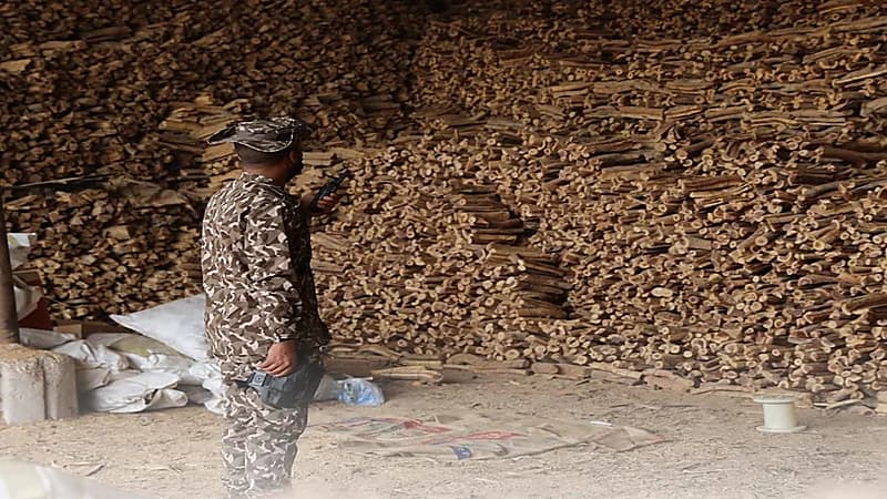 ضبط مواطن مخالف لنظام البيئة في الطائف .. فيديو