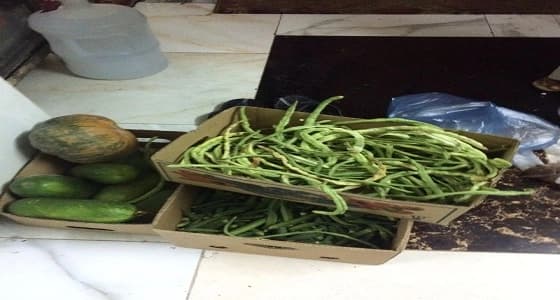 بالصور.. مصادرة أغذية فاسدة وضبط مطبخ عشوائي بمكة