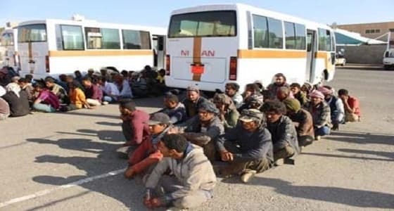 " العمل بالقطيف " يضبط 13 وافدًا ضمن حملة " وطن بلا مخالف "