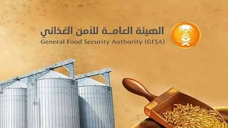 صرف 295 مليون ريال مستحقات الدفعة الأولى لمزارعي القمح المحلي