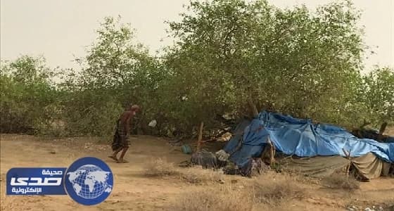 وفاة المسن " ساكن الشجرة " في بيش