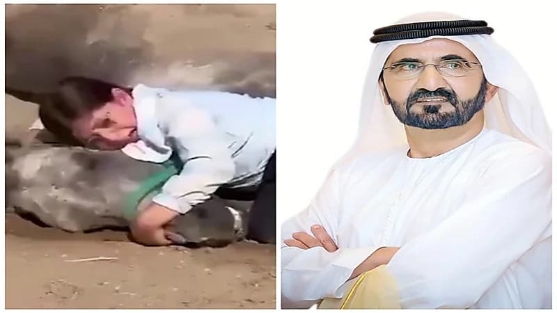 نائب رئيس الإمارات يهدي مجموعة خيول لطفلة عراقية تأثرت بفقدان حصانها