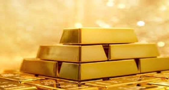 هروب أسود من متنزه سياحي في جنوب أفريقيا