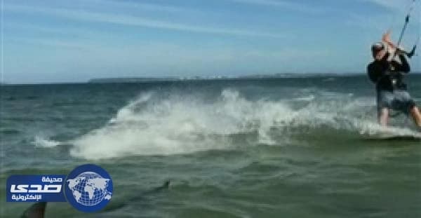 بالفيديو.. راكب أمواج  ينجو من قرش ضخم
