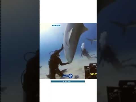 قوة خارقة في صد الهجوم