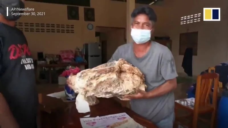 رجل يتحول إلى مليونير بسبب حوت