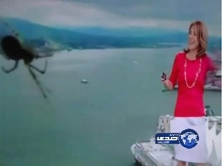 ضبط 81 بدلة عسكرية و 361 شعار عسكري في القصيم "صور"