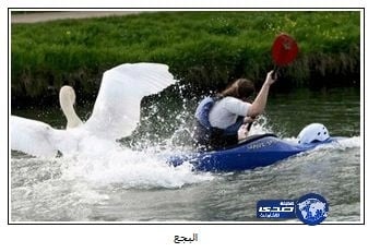 بالفيديو.. شركة تجبر موظفاتها بفعل غريب