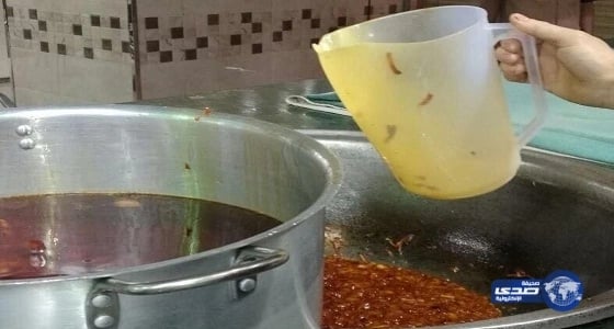 إغلاق 3 محال غير مرخصة ورصد 128 مخالفة سلامة غذاء في الطائف