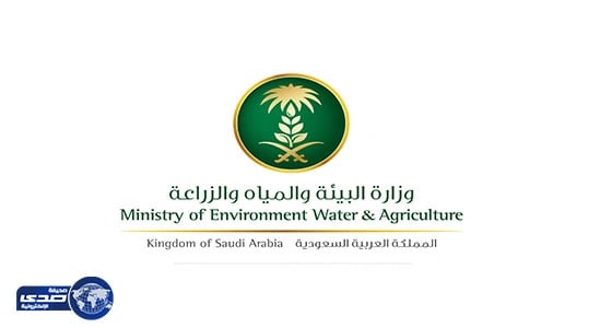 " البيئة " تعلن عن السماح بتصدير ذكور المواشي الحية بغرض الذبح