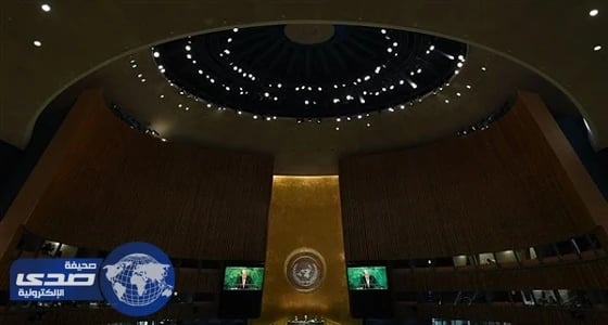 بالفيديو.. نحلة تهاجم مذيعة على الهواء وتصيبها بالفزع