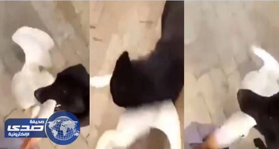 سول تطلق طلقات تحذيرية تجاه جنود سلاح حرس الحدود الكوري الشمالي