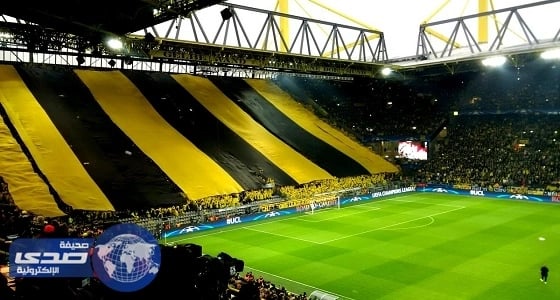 بالفيديو.. حملة شبابية لضبط أجانب يجلسون مع فتيات سودانيات