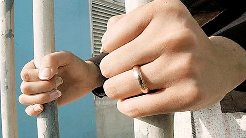 فيديو.. طيار إيرباص يحاول تجنب الاصطدام بسرب من طيور النورس