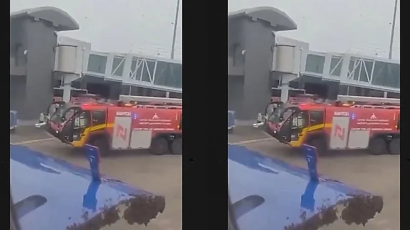 سرب من النحل يمنع طائرة الناقل الإقتصادي الهندي IndiGo من الإقلاع.. فيديو