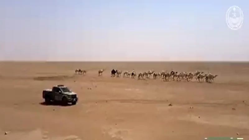 شاهد.. ضبط 30 مخالفًا لنظام البيئة