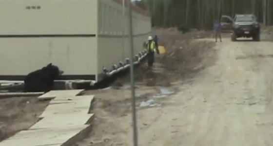 مقطع فيديو يحقق 78 مليون مشاهدة لسبب غريب