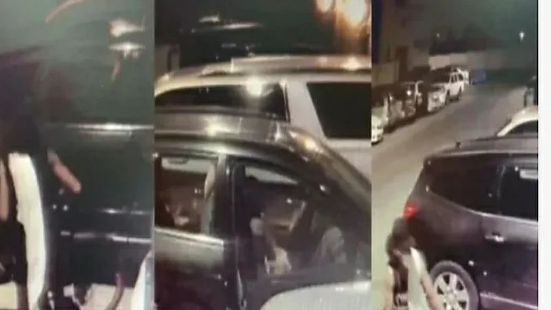 بالفيديو.. لص يسرق محتويات المركبات بحي الصفا في جدة