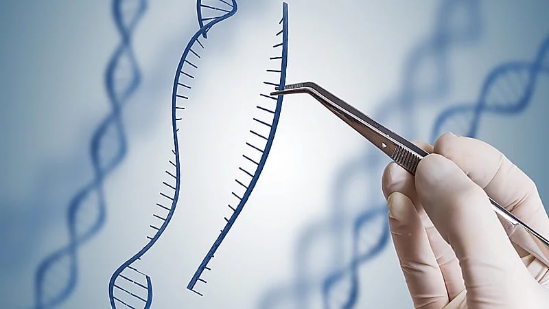 بالفيديو..استشارية: العوامل الوراثية ليس لها تأثير على إنجاب الذكور أو الإناث