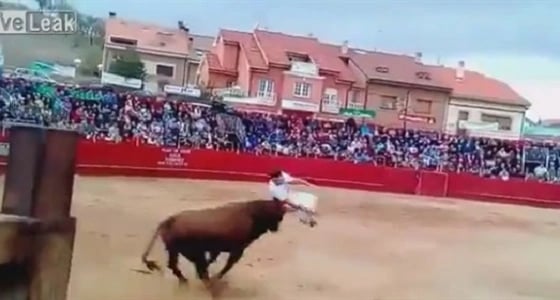 فيديو مروع لثور يُطيح بشاب فشل في تفاديه