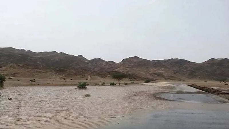 مركز الأرصاد: أمطار رعدية مصحوبة برياح نشطة على العيص