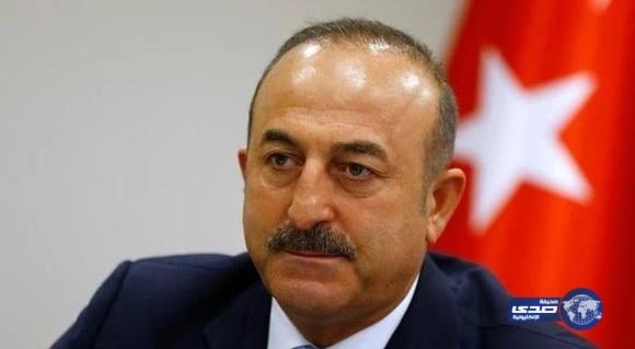 تركيا: يجب تطهير الحدود التركية السورية من «داعش»