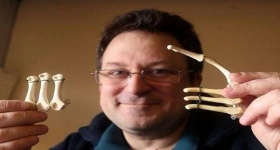 جراح يستخدم الدجاج المشوي في عمليات التجميل