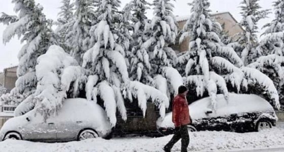 وفاة 41 شخصًا في أوروبا إثر موجة الصقيع