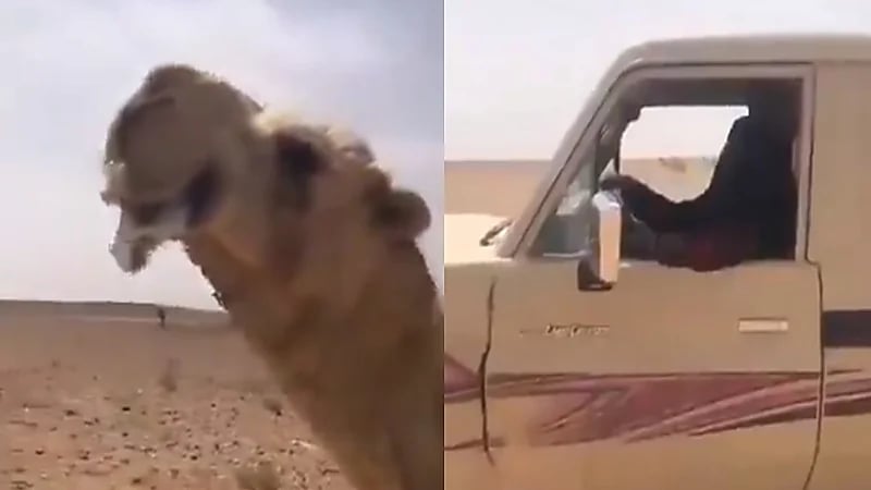 شاهد.. الأمير تركي بن محمد يهدي "جمران" لامرأة تسعينية