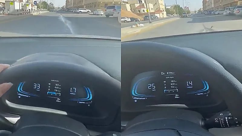 فتاة خافت من دعس حمامة ترتكب مخالفة مرورية .. فيديو