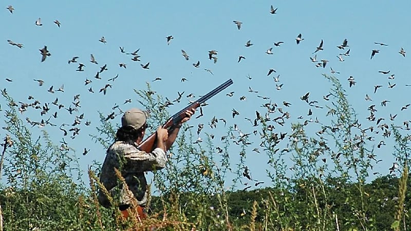 انخفاض أسعار بنادق الصيد بعد تشديد العقوبات