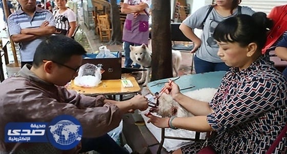 بالفيديو.. التخلص من النباح بقطع الأوتار الصوتية للكلاب