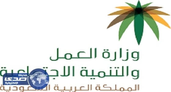 العمل والتنمية تحصد جائزة التميز في قمة WSIS بجنيف